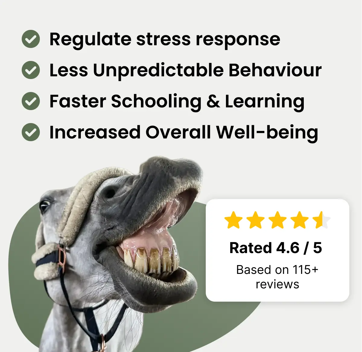 Calm Aid with Magnesium
